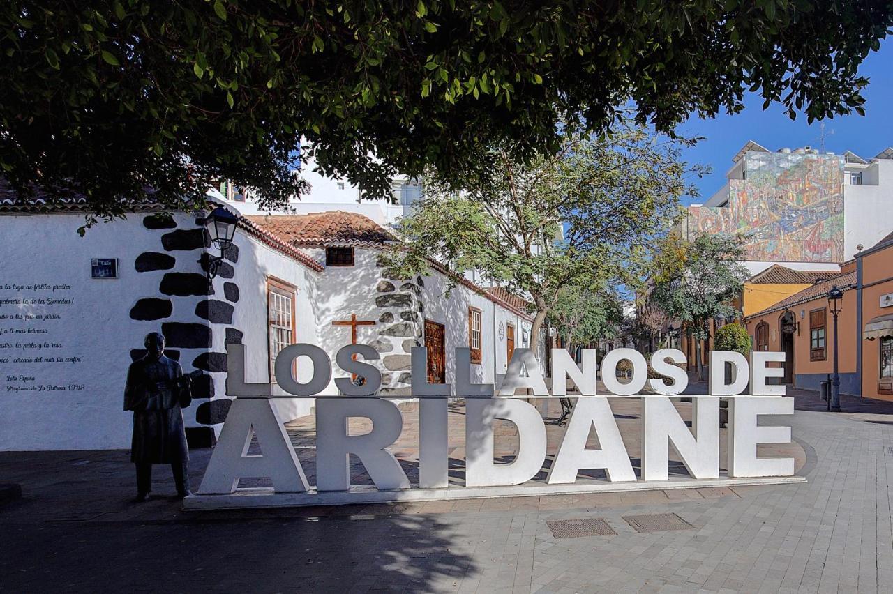 Elita House Apartment Los Llanos De Aridane Luaran gambar